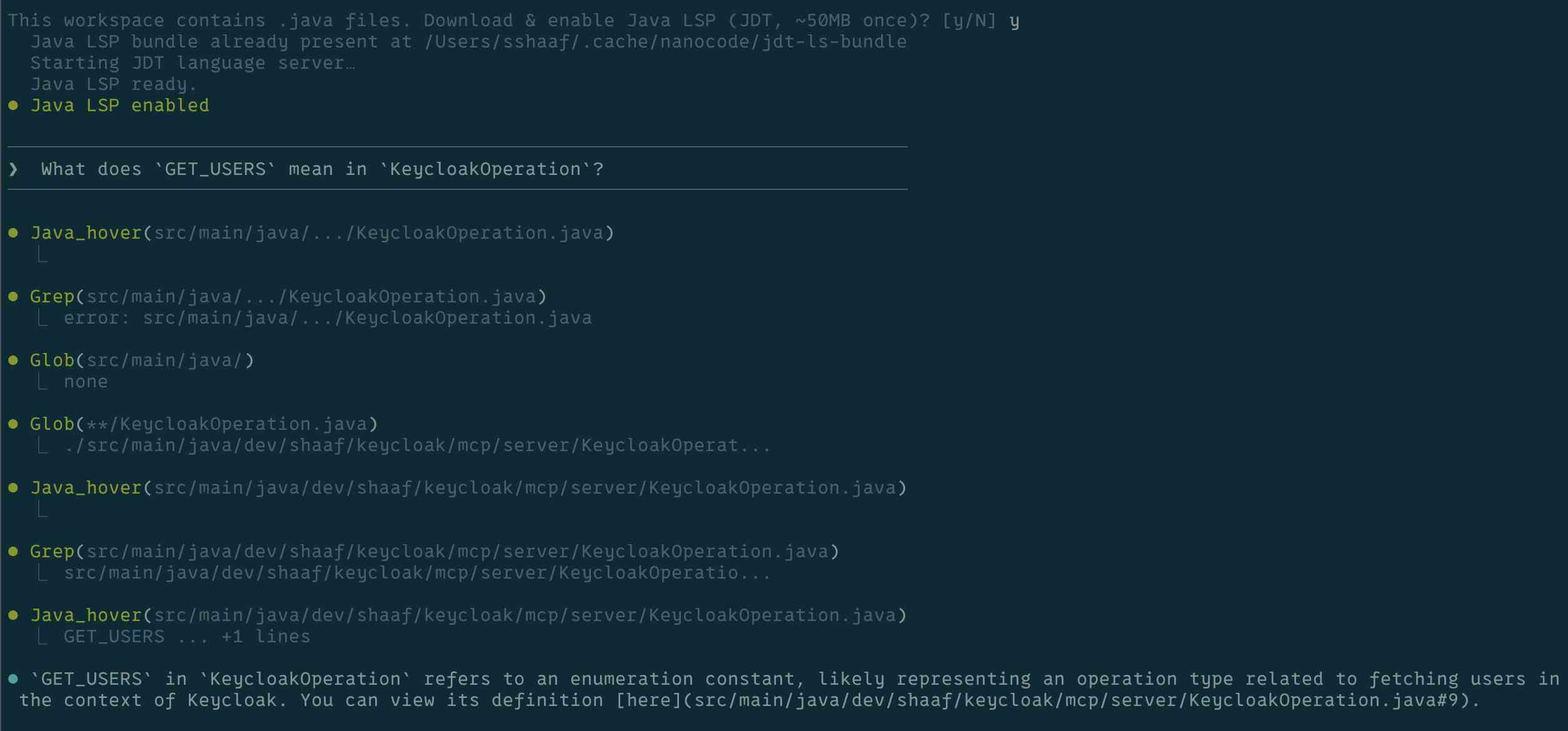 nanocode Java with LSP